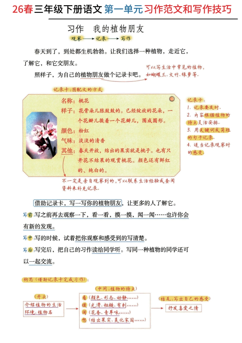 26春三年级下册语文1-8单元《习作范文及技巧点拨》.f903709c2b91da5da0ad661953aa89f0-985文库