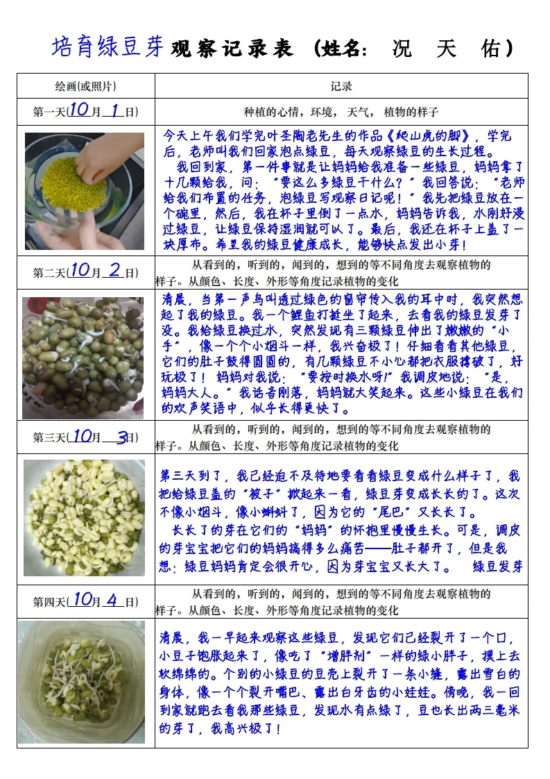 新四上语文习作三：培育绿豆芽观察日记2《写观察日记》4页-985文库